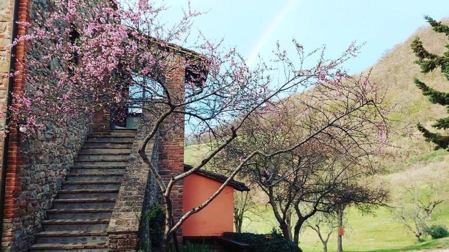 Agriturismo Paradiso41 Villa Assisi Exterior photo