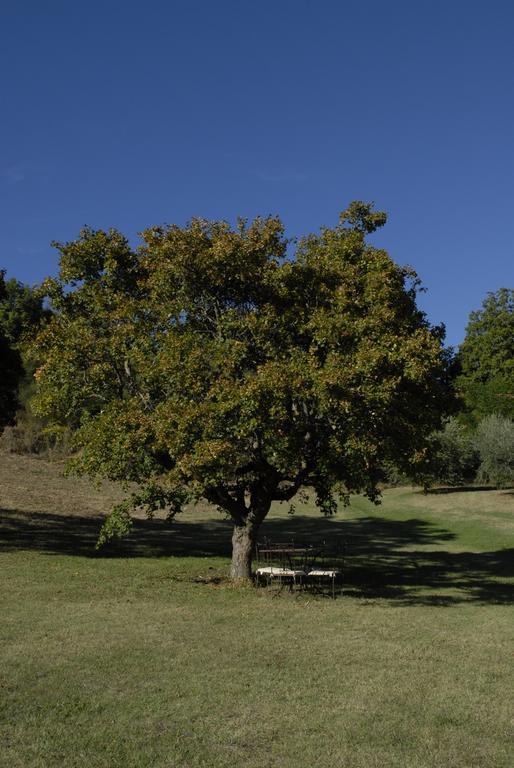 Agriturismo Paradiso41 Assisi Exterior photo